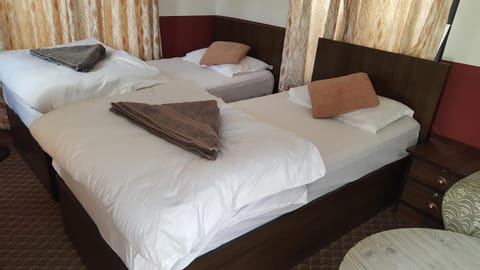 BnB Royal Tourist House Bed and Breakfast in Kathmandu