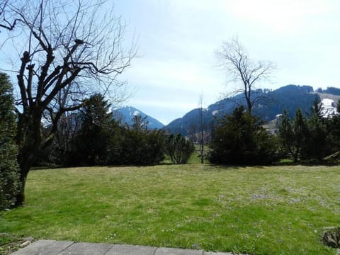 Charly Studio In Gstaad Apartment in Saanen