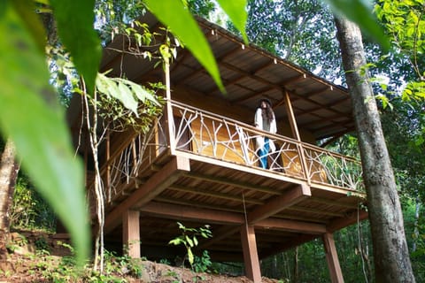 Garden, Balcony/Terrace