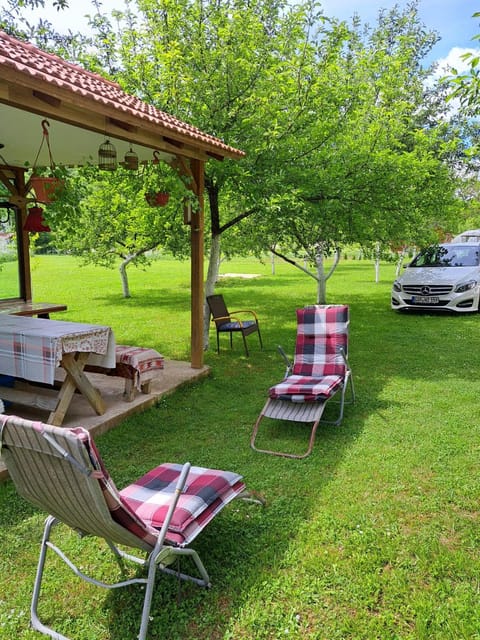 Garden, Garden view, sunbed