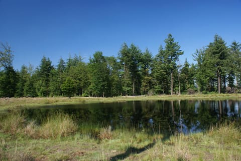 Natural landscape, Hiking