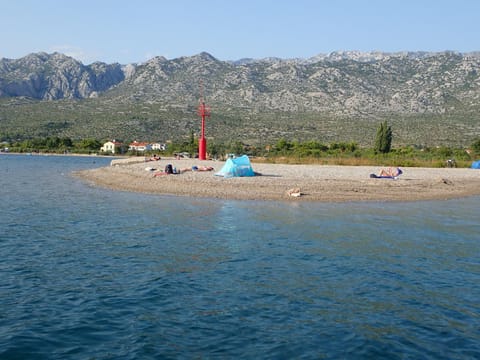 Beach, Family