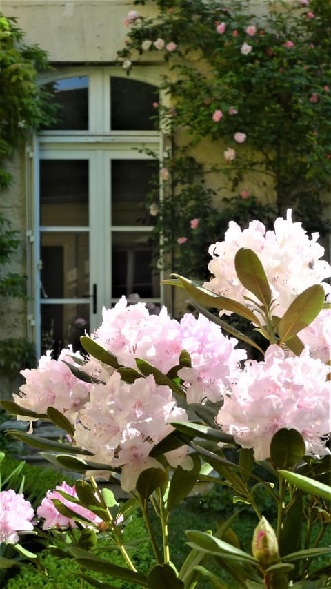 Les chambres de l'Abbaye Bed and Breakfast in Caen