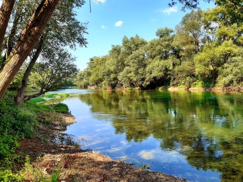 Natural landscape, River view