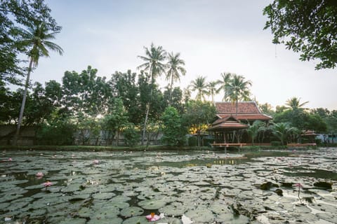 Property building, Garden