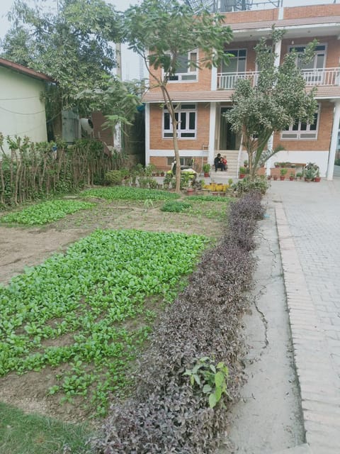 Garden view