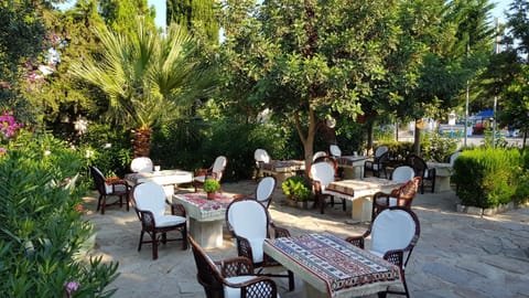 Medusa House Butik Hotel Übernachtung mit Frühstück in Didim