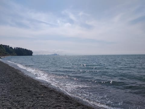 Spring, Natural landscape, Beach