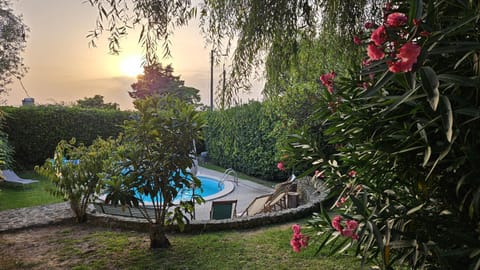 Patio, Garden, Garden view