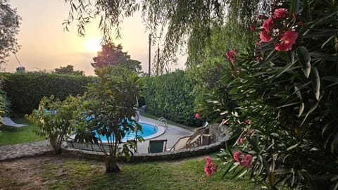 Patio, Garden, Garden view