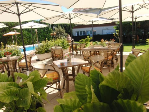 Patio, Day, Balcony/Terrace