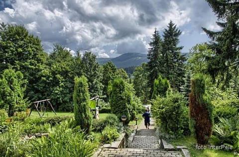 Garden, Garden view, Mountain view