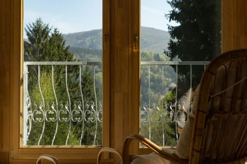 Waldhufenhaus in Schöna House in Bad Schandau