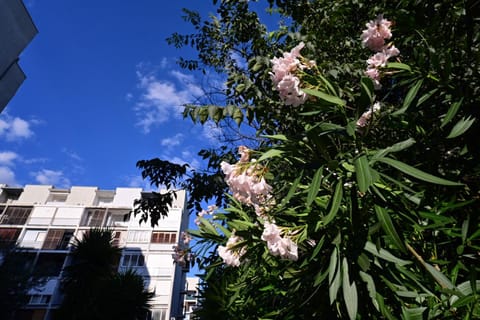 Property building, Natural landscape