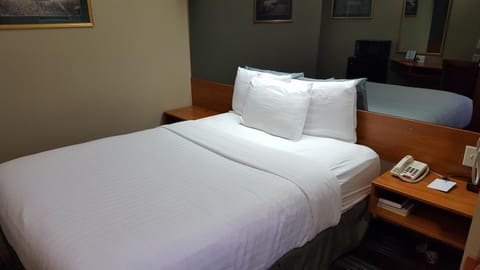 Microtel Inn & Suites by Wyndham Bozeman Hotel in Bozeman