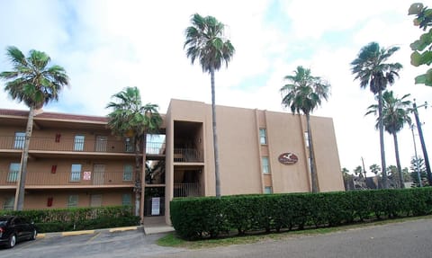 Beachview Condo Unit #214 Condo in South Padre Island