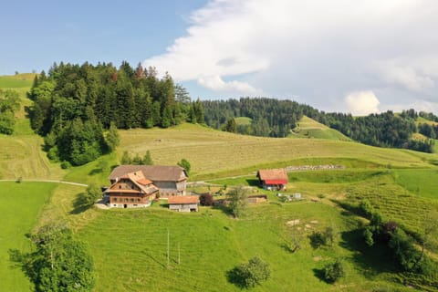 Bird's eye view, Garden view