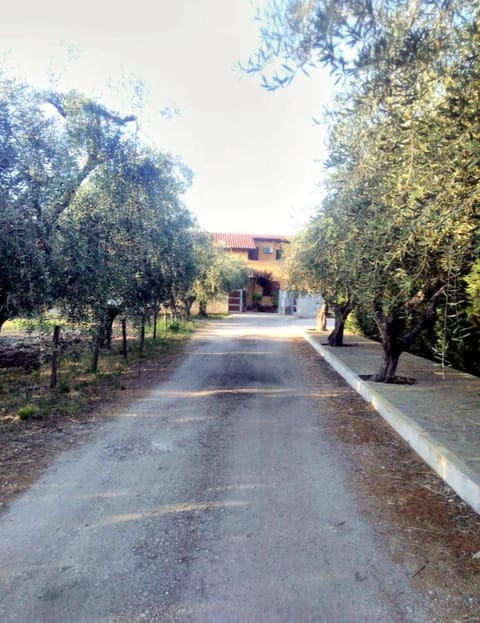 La casetta Alojamiento y desayuno in Ortona