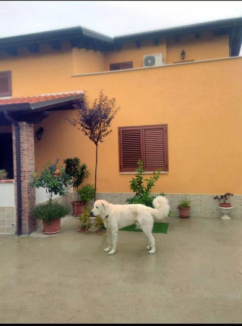 La casetta Alojamiento y desayuno in Ortona