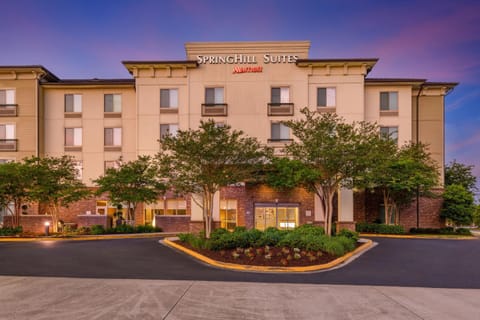 SpringHill Suites by Marriott Lafayette South at River Ranch Hotel in Lafayette