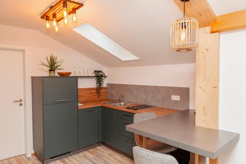 Kitchen or kitchenette, Dining area, stove