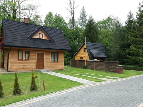 U Eskulapa Bieszczady House in Lviv Oblast