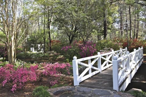 Celtic Green House in North Charleston