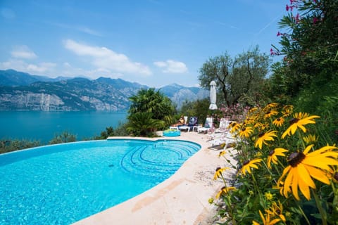 Lake view, Swimming pool