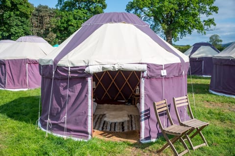 Festival Yurts Hay-on-Wye Luxury tent in Hay-on-Wye