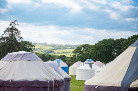 Festival Yurts Hay-on-Wye Luxury tent in Hay-on-Wye