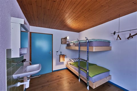 Photo of the whole room, Bedroom, bunk bed