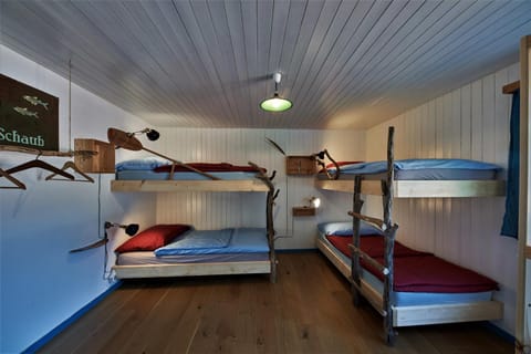 Photo of the whole room, Bedroom, bunk bed