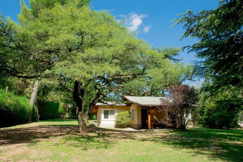 Property building, Natural landscape, Garden, Garden view