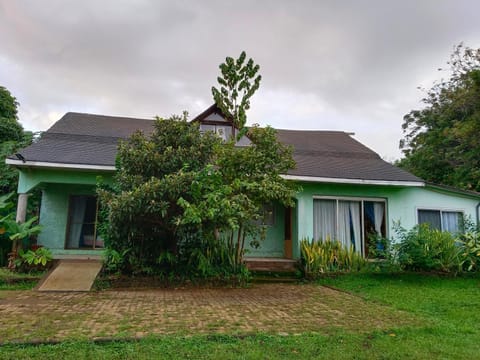 Property building, Garden view