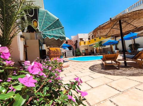 Delta Dahab Hotel Hostel in South Sinai Governorate