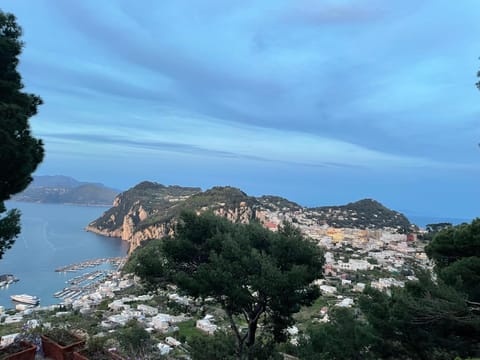 Natural landscape, Bird's eye view, City view, Sea view