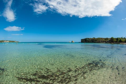 Natural landscape, Beach