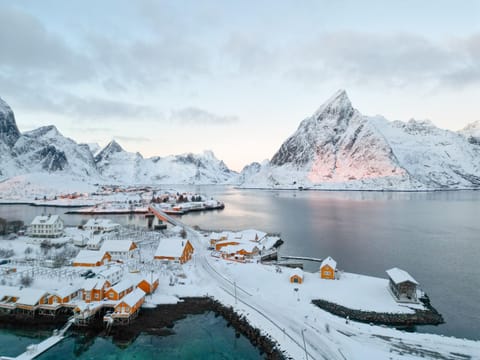 Bird's eye view, Winter