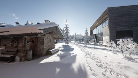 Property building, Winter, Garden, Garden view