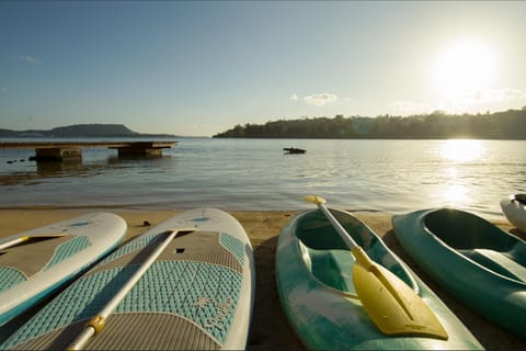 Beach, Sea view, Sports, Sunset