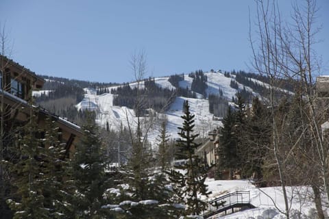 Lichenhearth 30 Casa in Snowmass Village