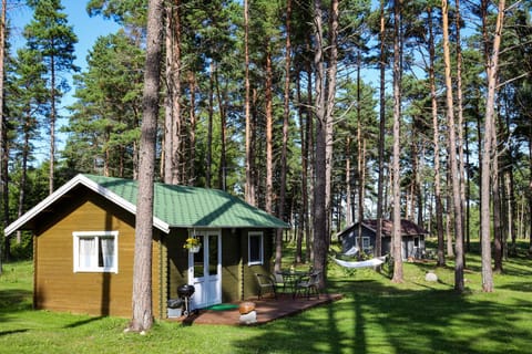 Ungru Holiday Houses House in Estonia