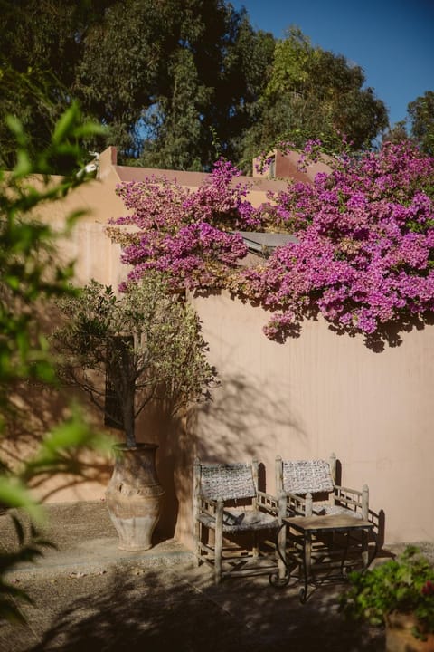 Patio, Natural landscape, Garden view