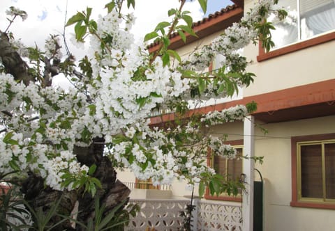 Facade/entrance, Garden