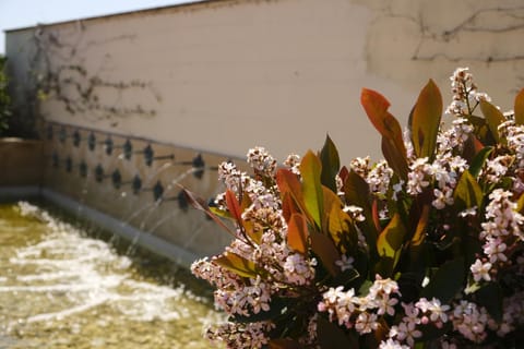 L'Antico Uliveto Hotel in Marche