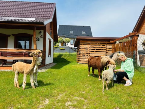 Domek Eden 1 Kaszuby balia sauna alpaki mini zoo Nature lodge in Pomeranian Voivodeship