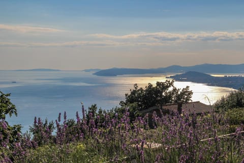 Natural landscape, Sea view