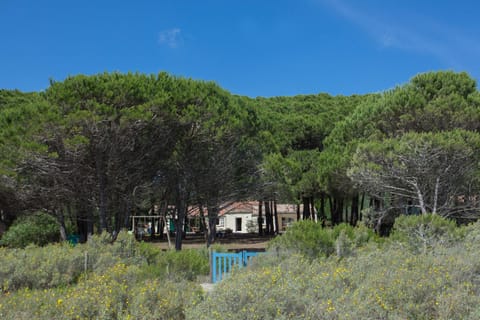 MAISONS BORD DE MER- MARINE DE SORBO - Gîtes 3 épis House in Corsica