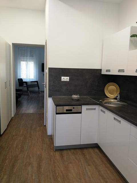 Class Apartment Condo in Szeged