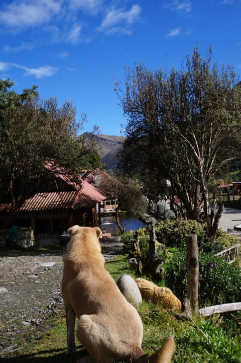 Hostería Cabañas del Pescador Inn in Azuay